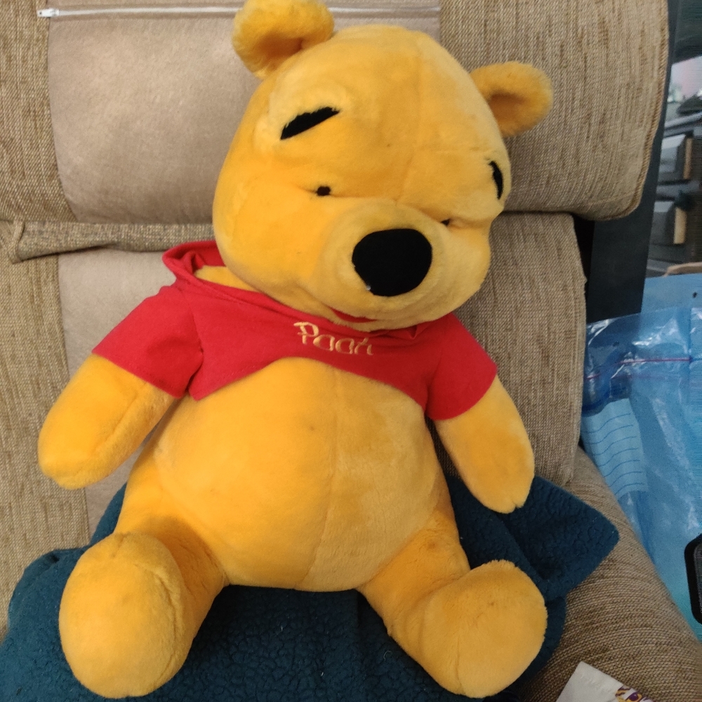 Plush Winnie the Pooh